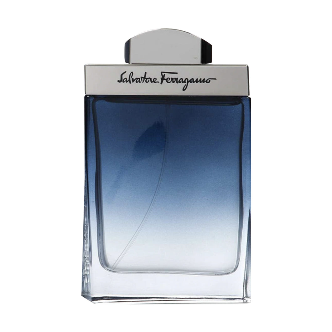 Salvatore Ferragamo Subtil pour Homme 100ml EDT